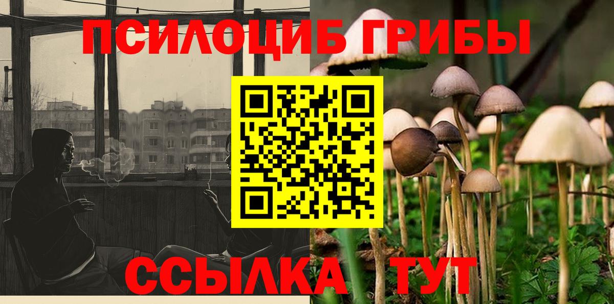 Псилоцибиновые грибы GOLDEN TEACHER Фурманов